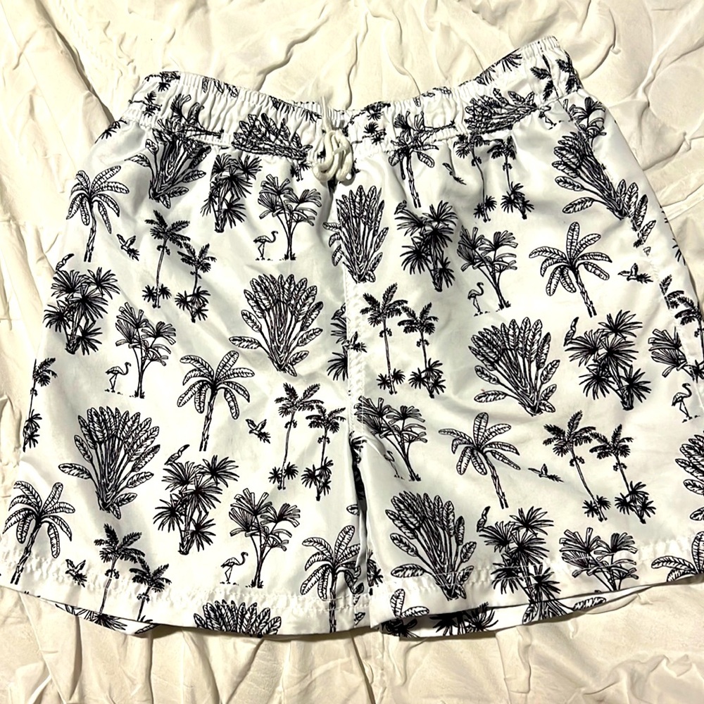 Janie and Jack swim trunks